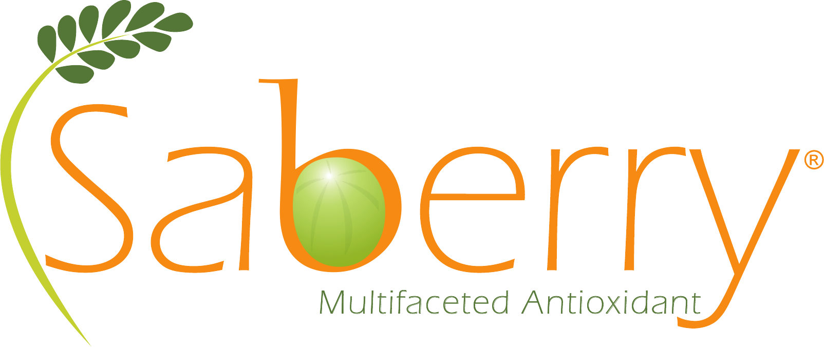 Saberry官方Logo